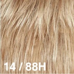 Utah II Wig By Dream USA | Mono Top -Best Wig Shop 14 88H ed6dd0f9 fc87 42b2 8fd2 87cb8856f5f9