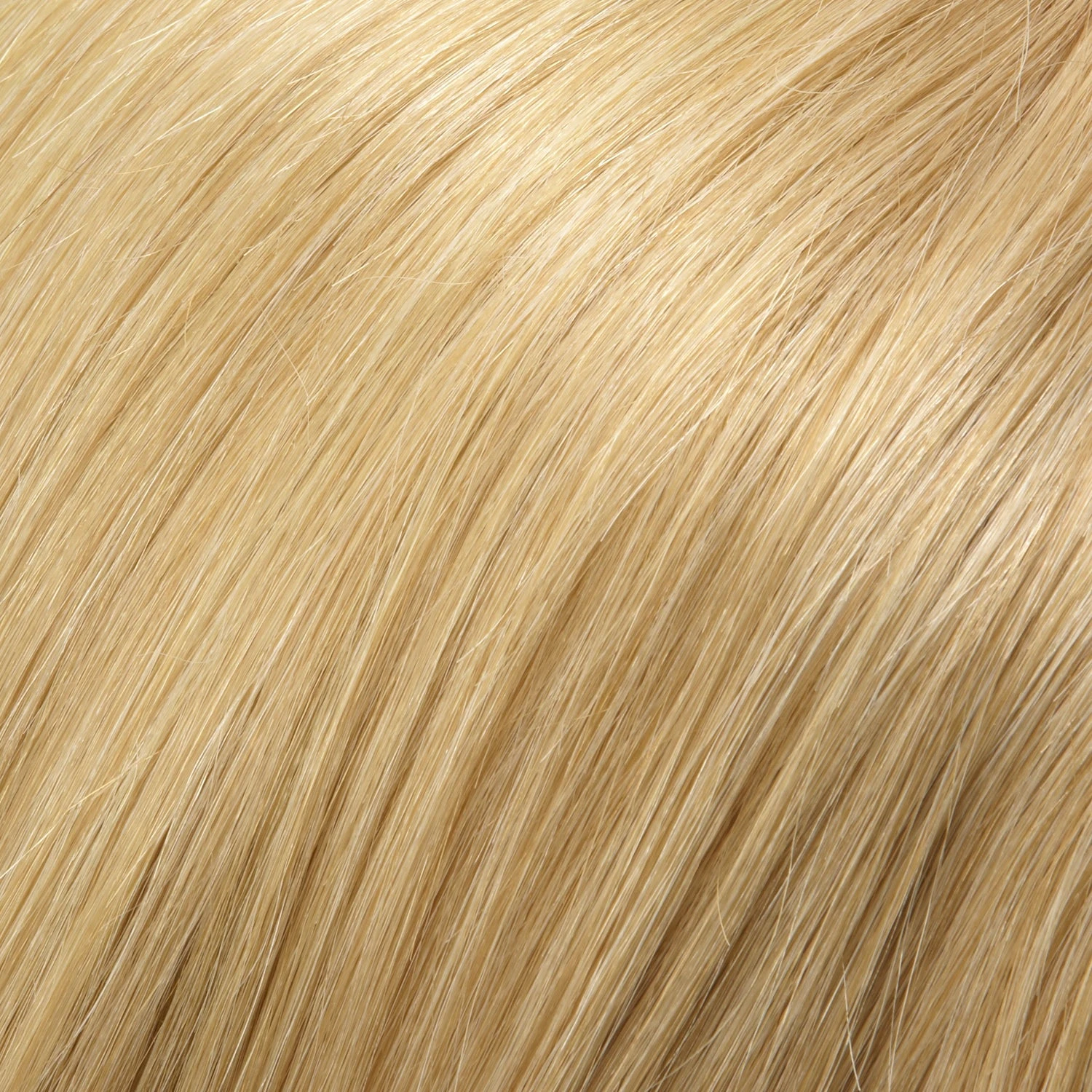 Blake Wig by Jon Renau | Large Cap Blake Wig By Jon Renau | Large Cap -Best Wig Shop 14 88H 7a0e00ba a6c6 4110 a88c 647ae4e451f9