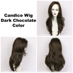 Candice Wig By Godiva's Secret Wigs -Best Wig Shop Candice Dk Choc 360 49398.1444674318.500.659
