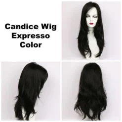 Candice Wig By Godiva's Secret Wigs -Best Wig Shop Candice Expresso 360 69778.1444674308.500.659