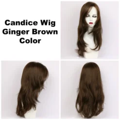 Candice Wig By Godiva's Secret Wigs -Best Wig Shop Candice gin 360 16759.1444674330.500.659