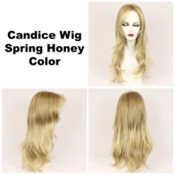 Candice Wig By Godiva's Secret Wigs -Best Wig Shop Candice spring honey 20620.1461948957.500.659