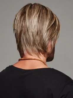 Daring Men's Wig By HIM | Mono Part -Best Wig Shop Daring Back