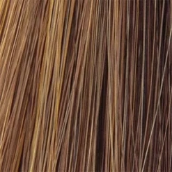 Bliss Wig By TressAllure | Synthetic -Best Wig Shop Honey Bean big f9210cc5 1324 4f15 9032 faee02596db3