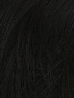 Daring Men's Wig By HIM | Mono Part -Best Wig Shop M3S Darkest Brown f46b9fa1 6e45 4788 a4f7 116a499c2ede