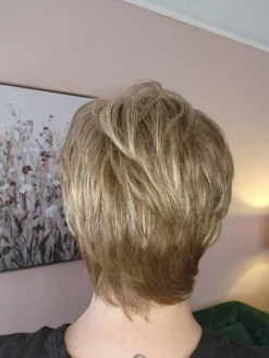 Paula Wig By Envy | Human Hair/Synthetic Blend -Best Wig Shop PaulabyEnvyAlmondBreezeBack scaled