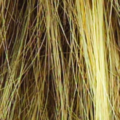 Salsa Wig By Raquel Welch | Large Cap 14 Salsa Wig By Raquel Welch | Large Cap -Best Wig Shop R13F25 PRALINE FOIL b4786388 9763 4653 9824 5831d9985606