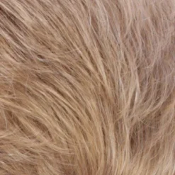 Emma Wig By Estetica -Best Wig Shop R24 18BT C 387c652d 2109 4224 921e 1fcd7f1b5e0c