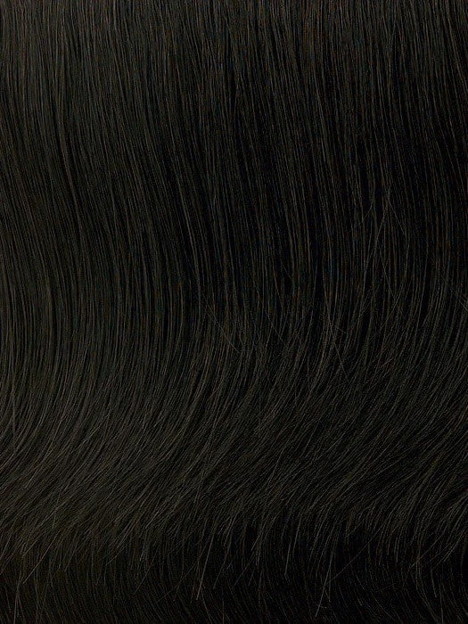 Classic Page Wig by Hairdo Classic Page Wig By Hairdo -Best Wig Shop R2 Ebony Off Black or Black Brown