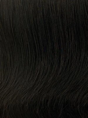 12" Grand Extension by Hairdo 12" Grand Extension By Hairdo -Best Wig Shop R2 EBONY Black 400x400 5ced92fa 95fc 4ca3 b64b 6d28f7361da9