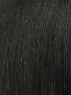 Star Quality Wig By Raquel Welch -Best Wig Shop R2 EBONY Black dece4d63 fe25 4380 85f6 1db9340903fb