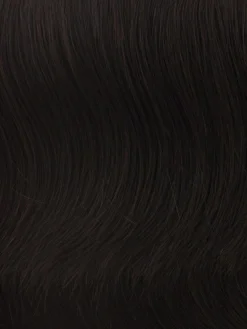 Long With Layers Wig By Hairdo -Best Wig Shop R4 MIDNIGHT BROWN Black Brown