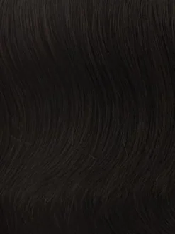 12" Grand Extension By Hairdo 2 12" Grand Extension By Hairdo -Best Wig Shop R4 MIDNIGHT BROWN Black Brown 400x400 38c7c81a 75b1 4a31 a9ca 960a9eb138cd