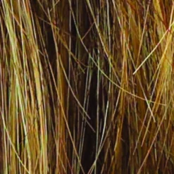 Salsa Wig By Raquel Welch | Large Cap 10 Salsa Wig By Raquel Welch | Large Cap -Best Wig Shop R9F26 MOCHA FOIL 271f6265 1c1b 42bf 8c7f a51f6d268b63