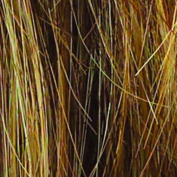 Salsa Wig by Raquel Welch | Large Cap Salsa Wig By Raquel Welch | Large Cap -Best Wig Shop R9F26 MOCHA FOIL 271f6265 1c1b 42bf 8c7f a51f6d268b63