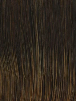 Straight Up With A Twist Wig By Raquel Welch -Best Wig Shop RL6 28 BRONZED SABLE 222d127d e2e8 4238 9aa0 b75bbf36234b