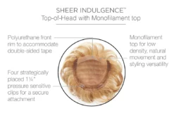 Lyric Top Piece By Raquel Welch -Best Wig Shop RW Lyric Cap