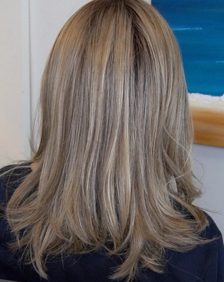 Nice Move Wig by Raquel Welch Nice Move Wig By Raquel Welch -Best Wig Shop RWNiceMovebackSSCappuccino