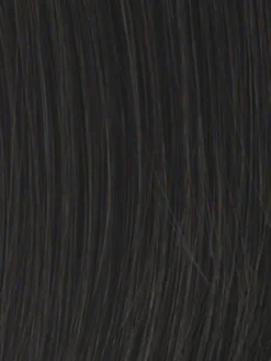 Lyric Top Piece By Raquel Welch -Best Wig Shop RW Vibralite Brunettes R2 Ebony ea93c3ff 9766 4455 a06b d864becb68ea