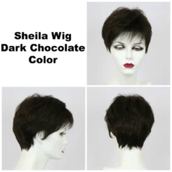 Sheila Wig By Godiva's Secret Wigs -Best Wig Shop Sheila Dk choc 93599.1458852410.1280.1280