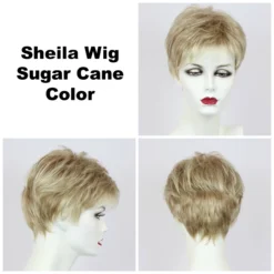 Sheila Wig By Godiva's Secret Wigs -Best Wig Shop Sheila Sugar Cane 12054.1458852468.1280.1280