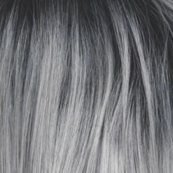 Posh Wig By Rene Of Paris | Heat Friendly -Best Wig Shop Silver Mist 5defa891 b672 4224 9801 34a22f20fc22