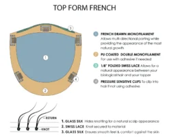 Top Form French 18" Topper | Renau Exclusive -Best Wig Shop Top Form French base diagram 4c1b25b8 a6c8 4a2e b25f 2792fb2af33d