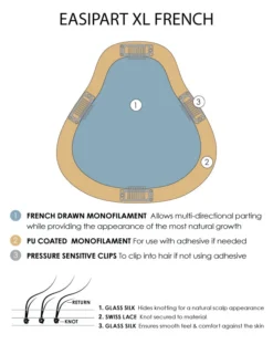 EasiPart XL French Topper 12" | Remy Human Hair | Renau Exclusive -Best Wig Shop easiPart French XL base diagram db10d41c 4440 42fe bf07 9ea90849f913