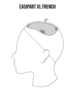 EasiPart XL Topper French 8" | Remy Human Hair -Best Wig Shop easiPart French XL coverage 5ca3397f 93d0 41ca 97d9 f9f2ebd0cee5